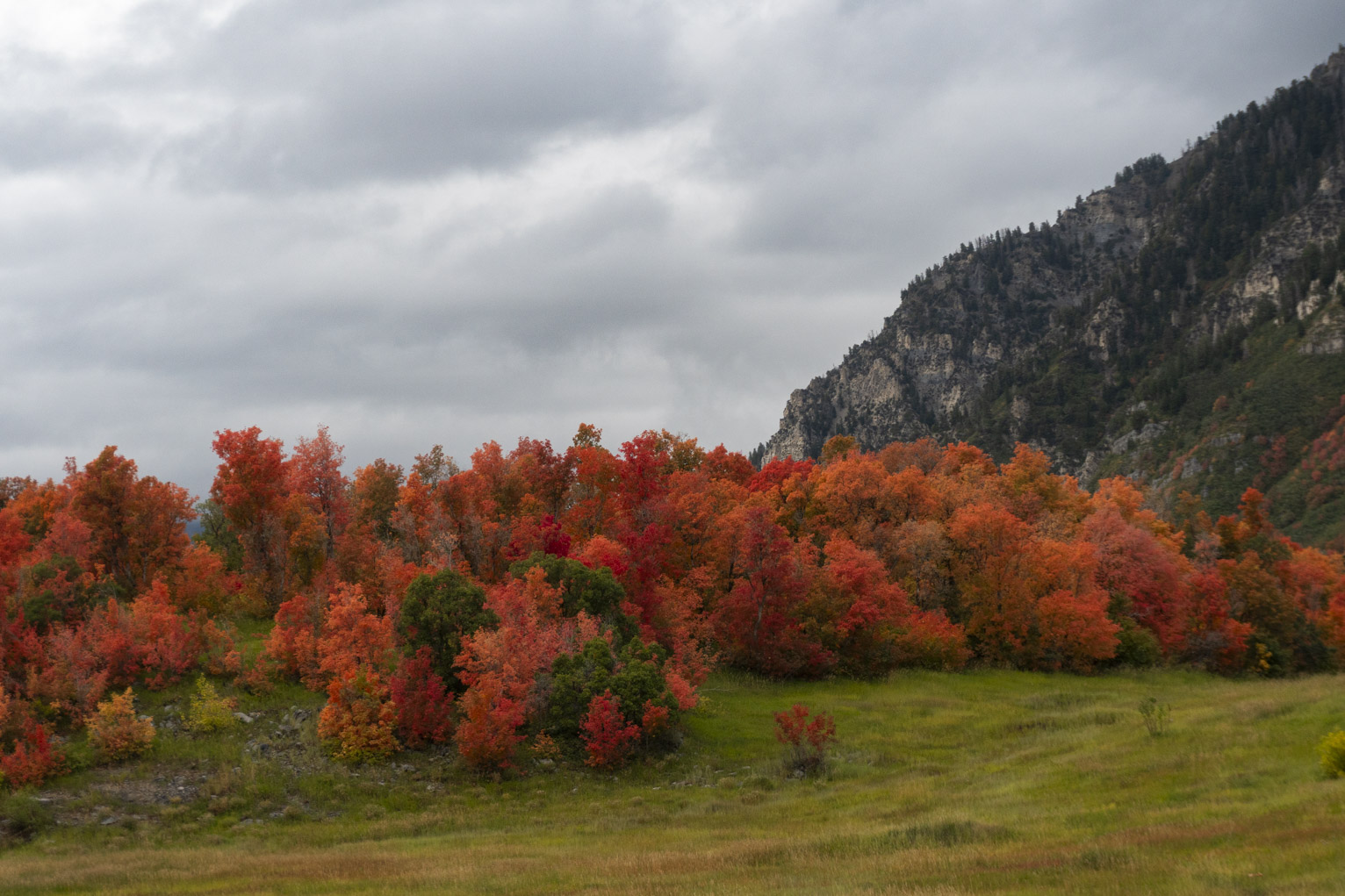 The autumn leaves look impossibly red and orange in the cloudy morning light